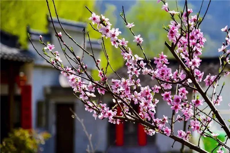 至尊国际 – 至尊服务,至尊享受