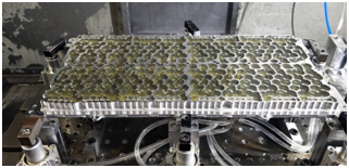 至尊国际 – 至尊服务,至尊享受