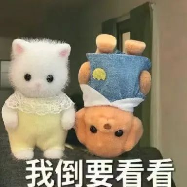 至尊国际 – 至尊服务,至尊享受