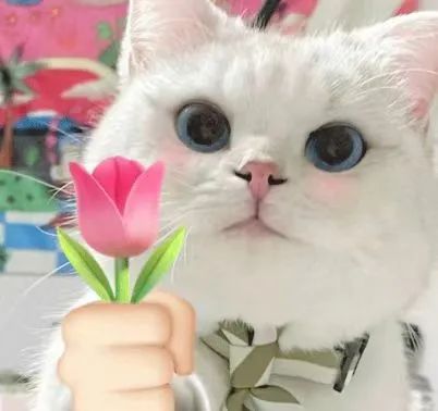 至尊国际 – 至尊服务,至尊享受