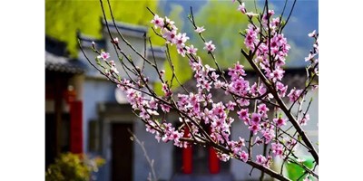 阳春三月，至尊国际精机一大波展会即未来袭，您准备好了吗？